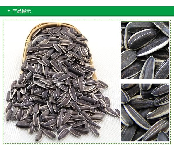 直銷原味363成品散裝生葵花籽炒貨廠家批發